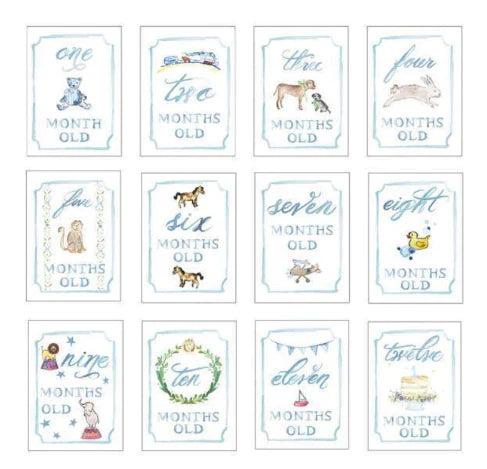 Baby Blue Milestone Cards