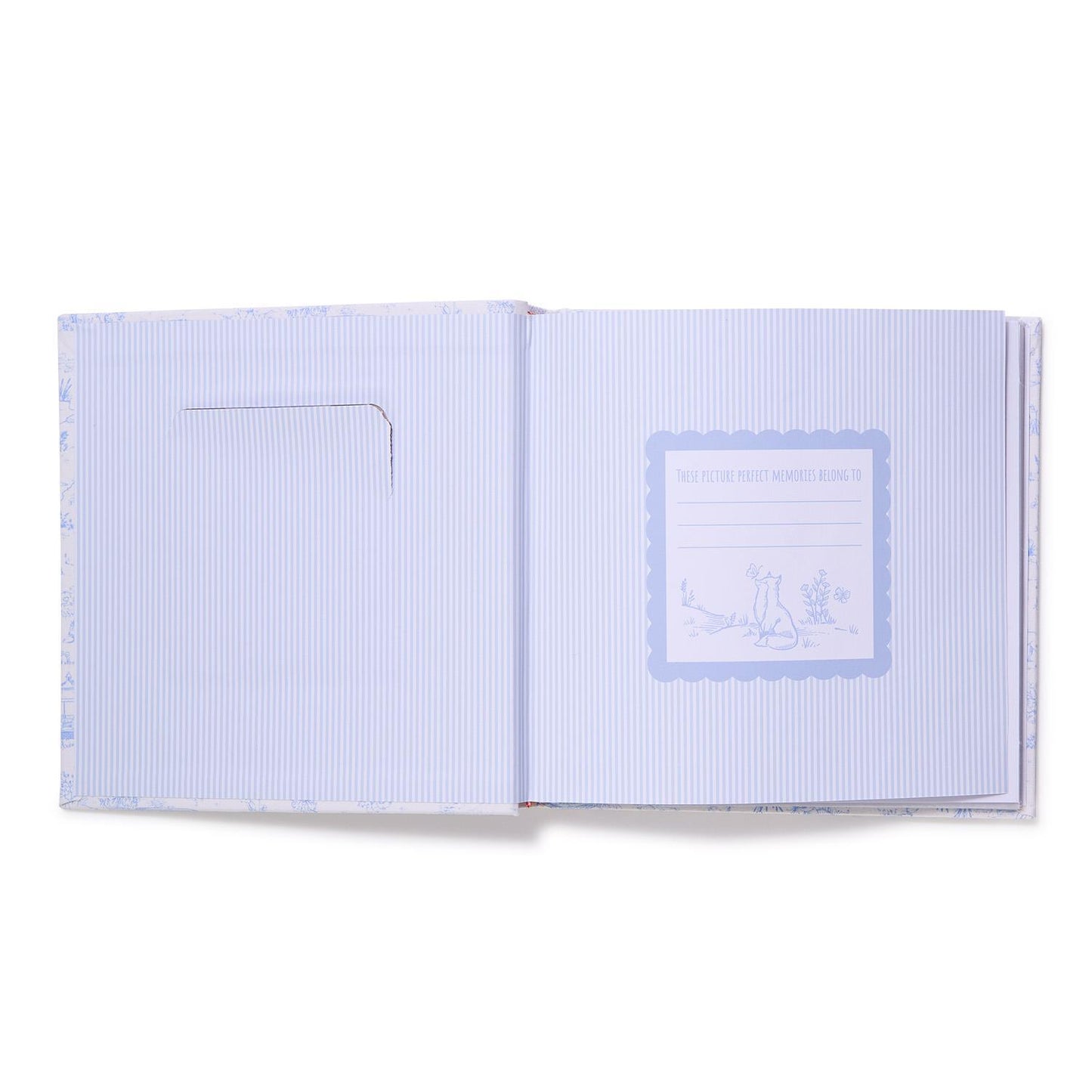 Toile Picture Album Blue