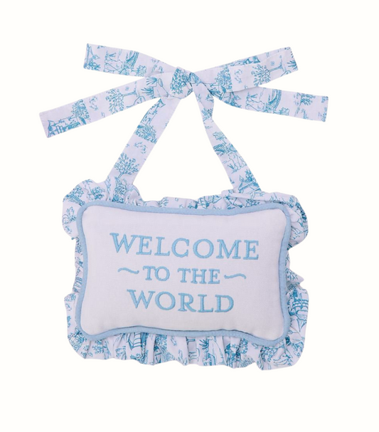Welcome to the World Door Hanging Pillow- Blue Toile
